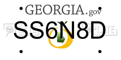 SS6N8D Georgia License Plate