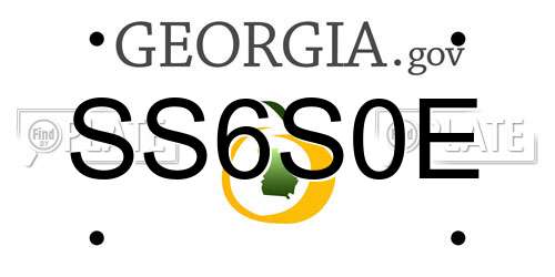 SS6S0E Georgia License Plate