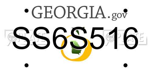 SS6S516 Georgia License Plate