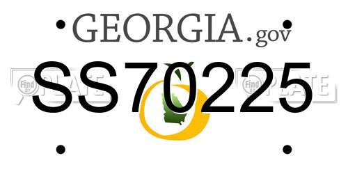 SS70225 Georgia License Plate