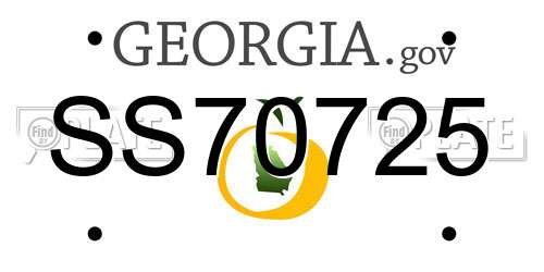 SS70725 Georgia License Plate