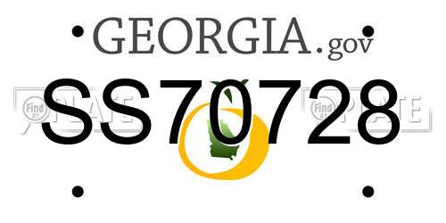 SS70728 Georgia License Plate