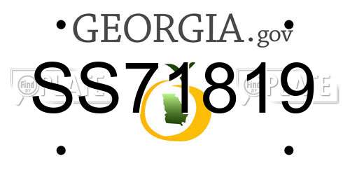 SS71819 Georgia License Plate