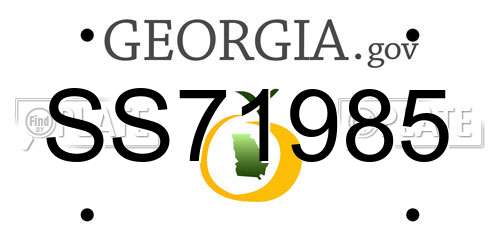 SS71985 Georgia License Plate