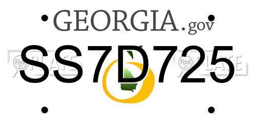 SS7D725 Georgia License Plate