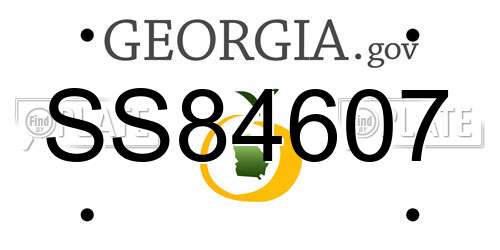 SS84607 Georgia License Plate