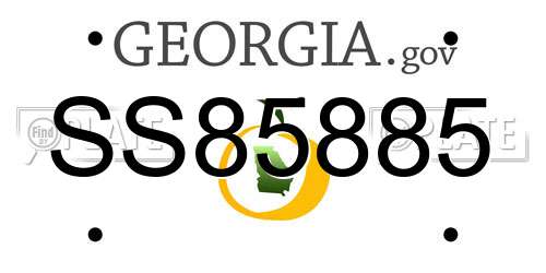 SS85885 Georgia License Plate