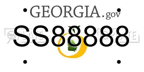 SS88888 Georgia License Plate