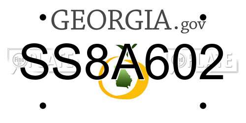 SS8A602 Georgia License Plate