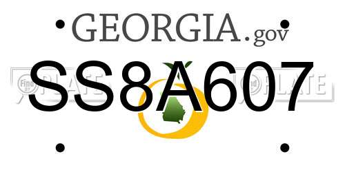 SS8A607 Georgia License Plate