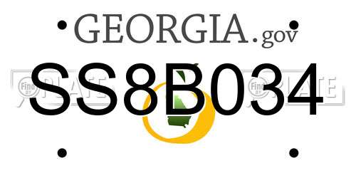 SS8B034 Georgia License Plate