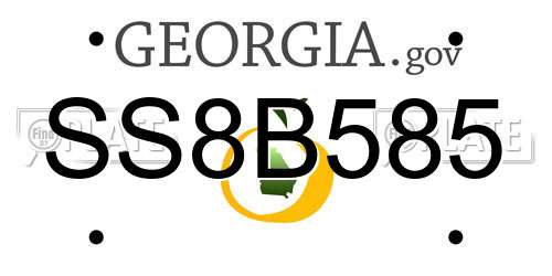 SS8B585 Georgia License Plate