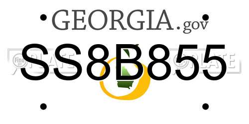 SS8B855 Georgia License Plate
