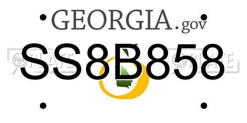 SS8B858 Georgia License Plate