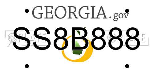 SS8B888 Georgia License Plate