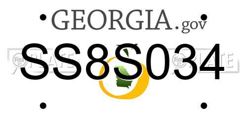 SS8S034 Georgia License Plate
