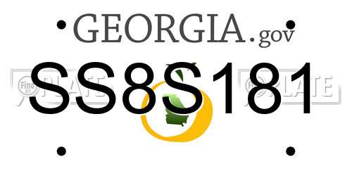 SS8S181 Georgia License Plate