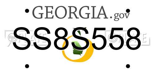 SS8S558 Georgia License Plate
