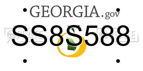 SS8S588 Georgia License Plate