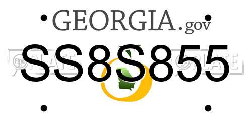 SS8S855 Georgia License Plate
