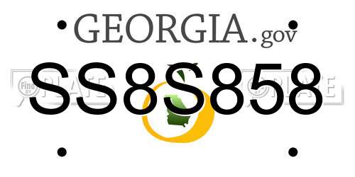 SS8S858 Georgia License Plate