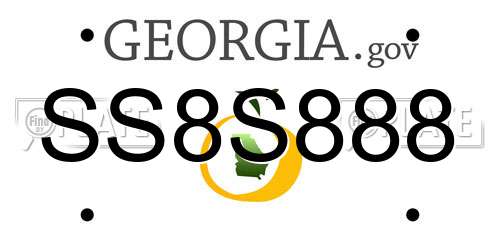 SS8S888 Georgia License Plate