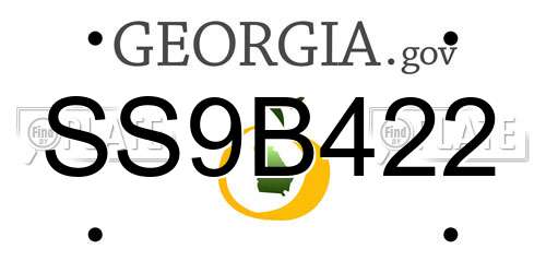 SS9B422 Georgia License Plate