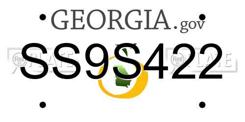 SS9S422 Georgia License Plate