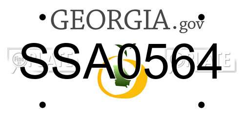 SSA0564 Georgia License Plate