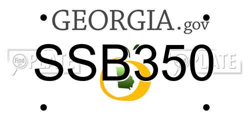 SSB350 Georgia License Plate