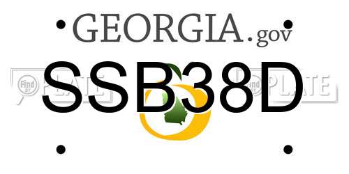 SSB38D Georgia License Plate