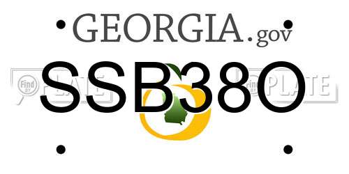 SSB38O Georgia License Plate
