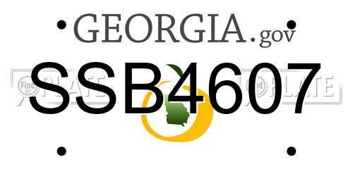SSB4607 Georgia License Plate