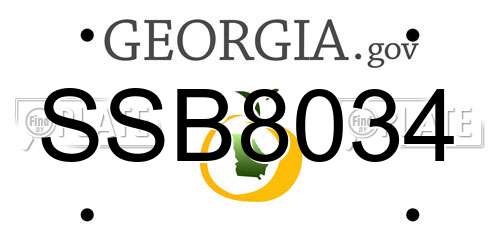 SSB8034 Georgia License Plate