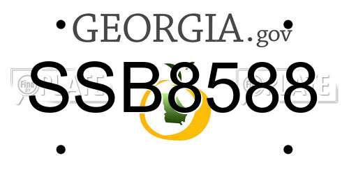 SSB8588 Georgia License Plate