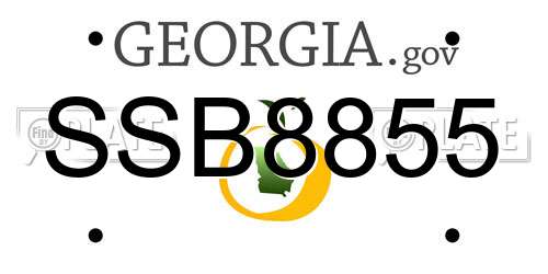 SSB8855 Georgia License Plate