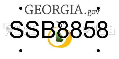 SSB8858 Georgia License Plate