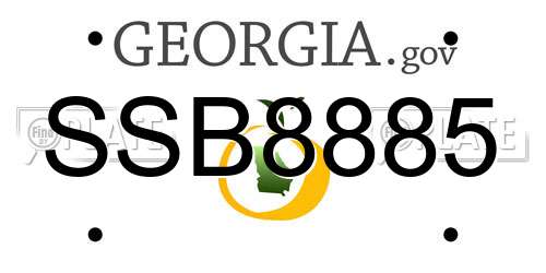 SSB8885 Georgia License Plate