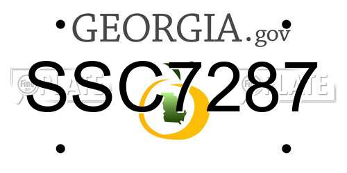 SSC7287 Georgia License Plate