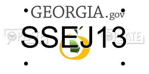 SSEJ13 Georgia License Plate