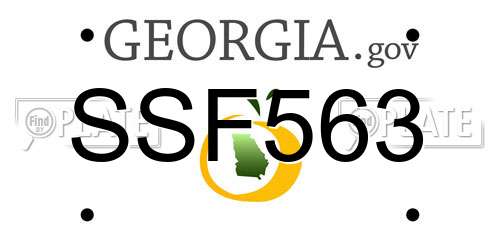 SSF563 Georgia License Plate