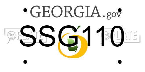 SSG110 Georgia License Plate