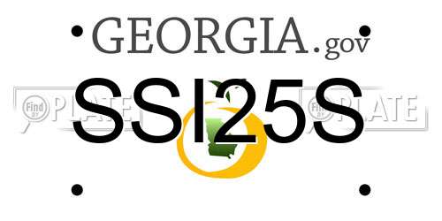 SSI25S Georgia License Plate