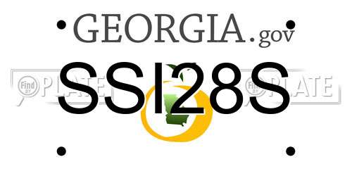 SSI28S Georgia License Plate