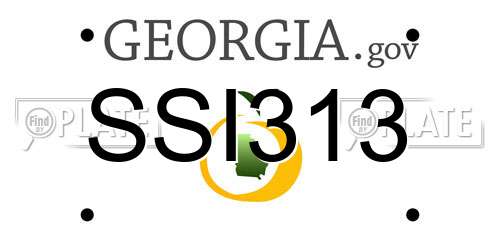 SSI313 Georgia License Plate