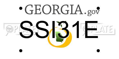 SSI31E Georgia License Plate
