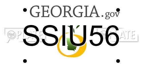 SSIU56 Georgia License Plate