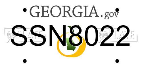 SSN8022 Georgia License Plate