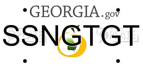 SSNGTGT Georgia License Plate