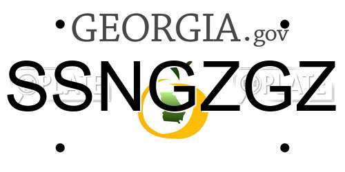 SSNGZGZ Georgia License Plate